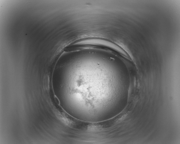 X0000064720109200602131234