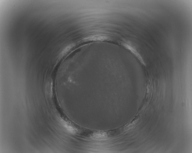 X0000064720110200602131234