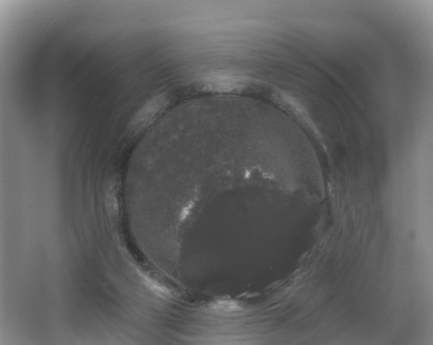 X0000064720114200602131234