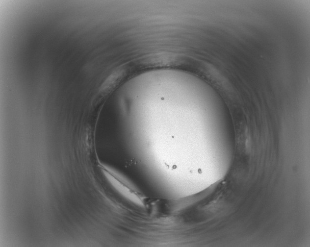 X0000064720119200602131234