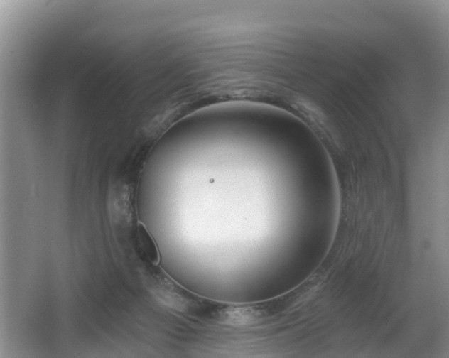 X0000064720121200602131234