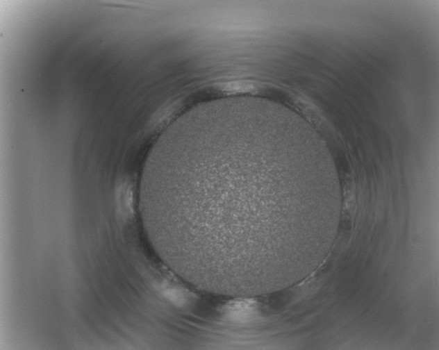 X0000064720124200602131234