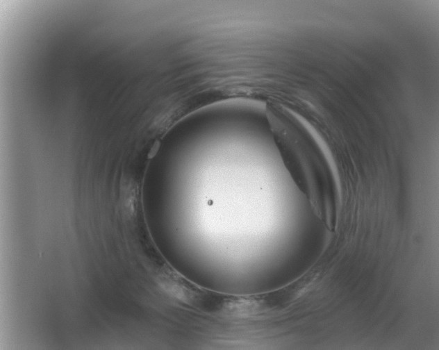 X0000064720125200602131234