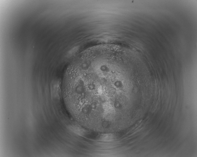 X0000064720127200602131234