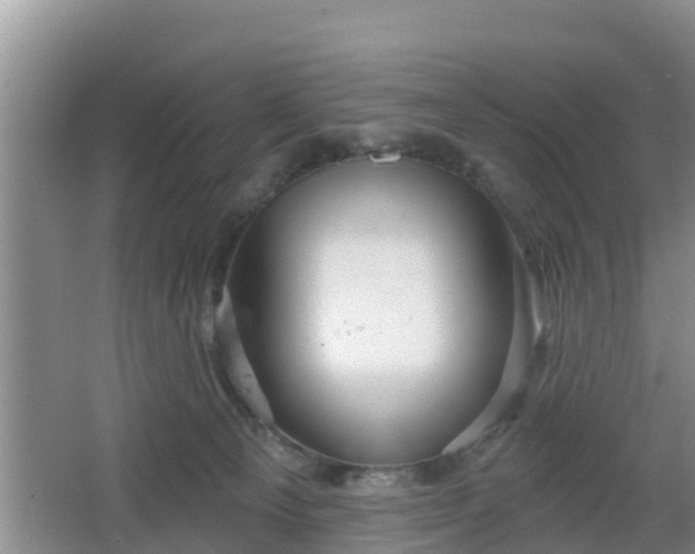 X0000064720129200602131234