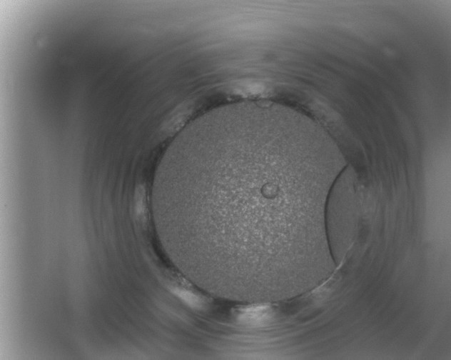 X0000064720132200602131234