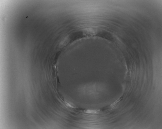 X0000064720134200602131234