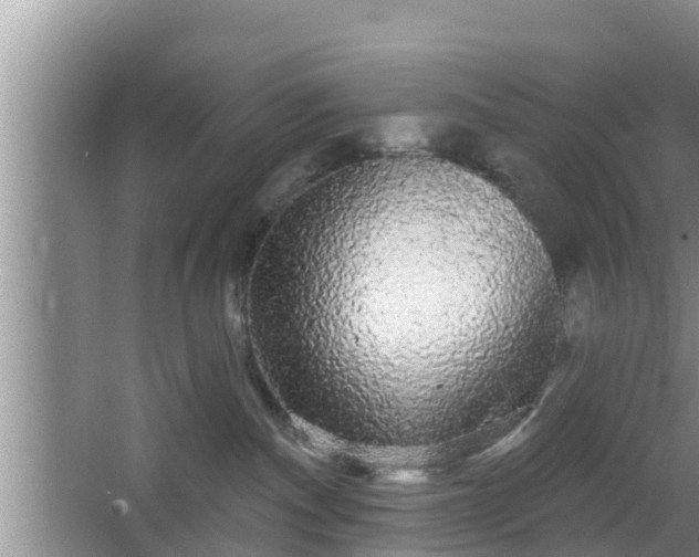 X0000064720140200602131234