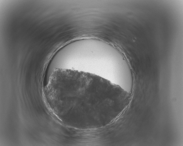 X0000064720145200602131233