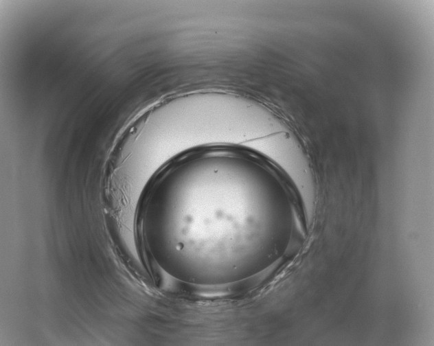 X0000064720146200602131233