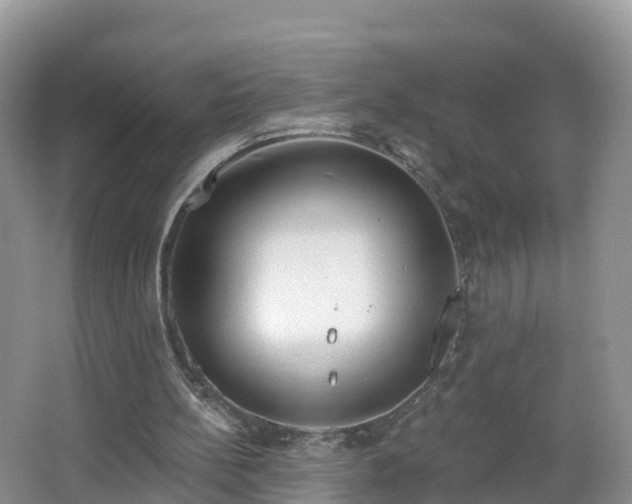 X0000064720148200602131233