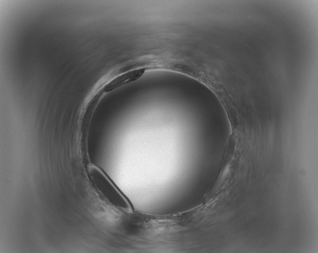 X0000064720150200602131233