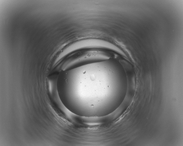 X0000064720154200602131233