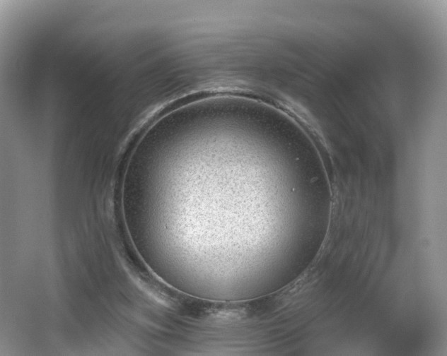 X0000064720155200602131233