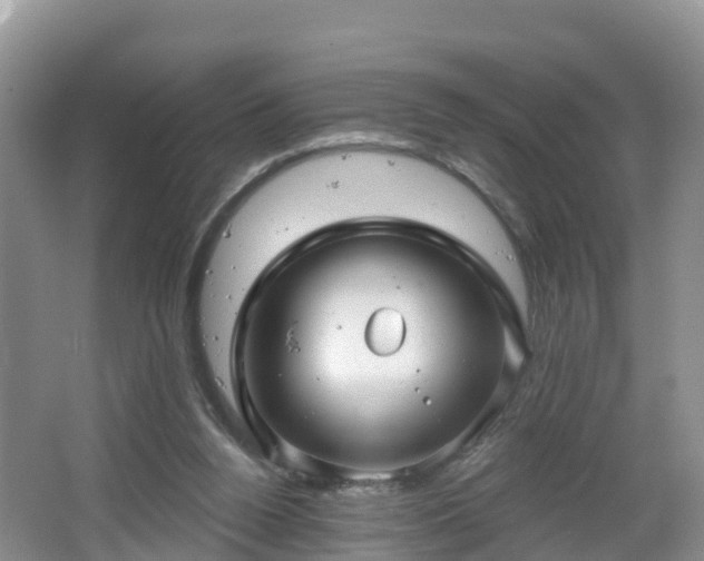 X0000064720160200602131233