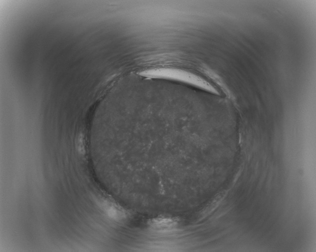 X0000064720161200602131233