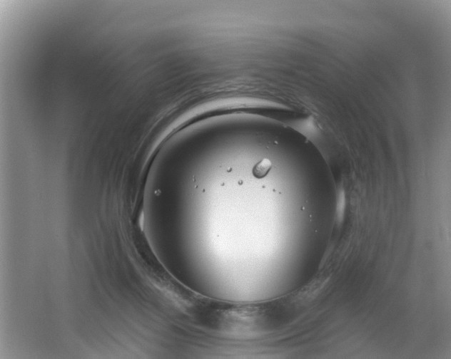 X0000064720164200602131233