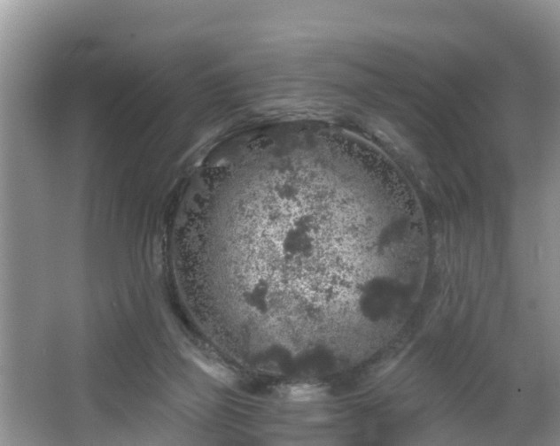 X0000064720165200602131233