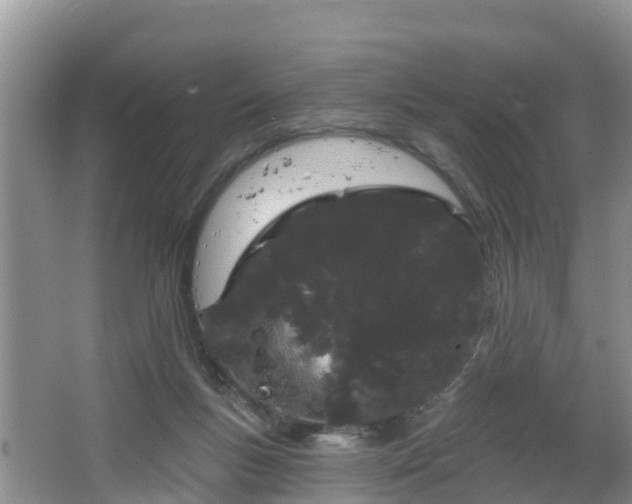 X0000064720167200602131233