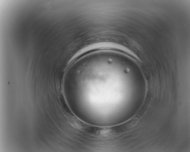 X0000064720173200602131233