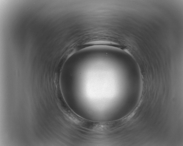 X0000064720174200602131233