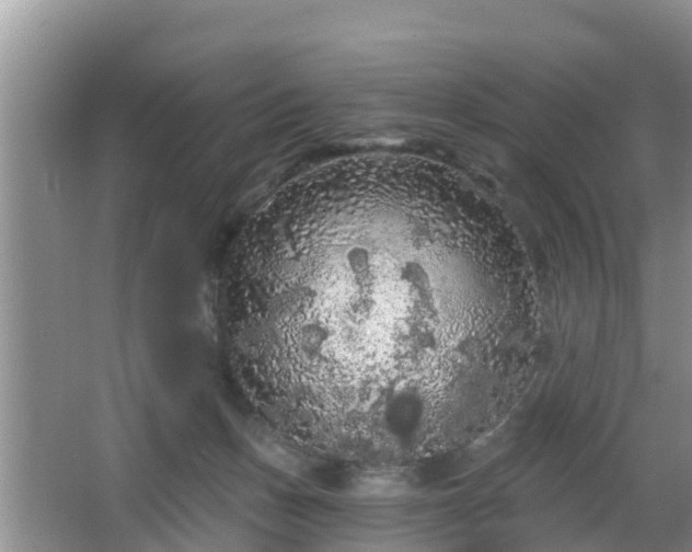 X0000064720175200602131233