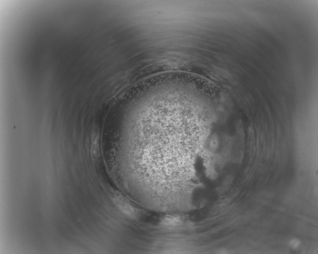 X0000064720177200602131234