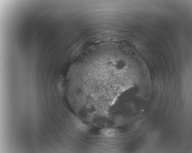 X0000064720181200602131234