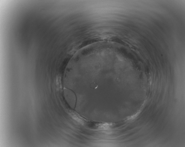 X0000064720182200602131234