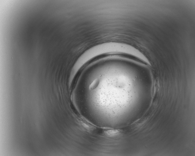 X0000064720189200602131234