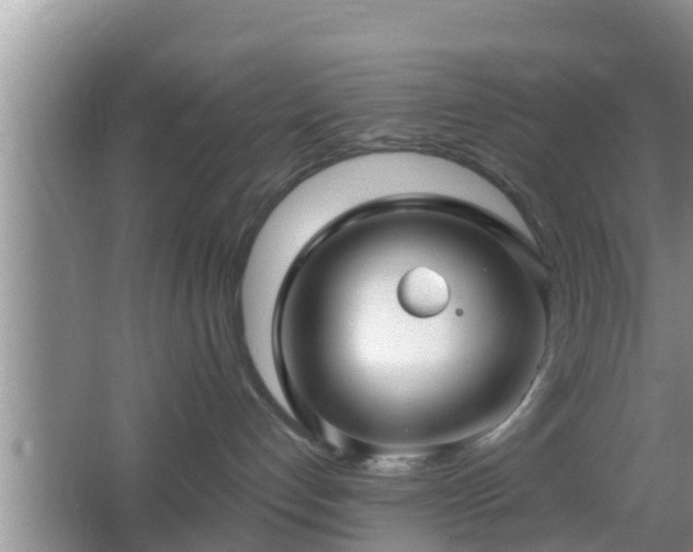 X0000064720192200602131234