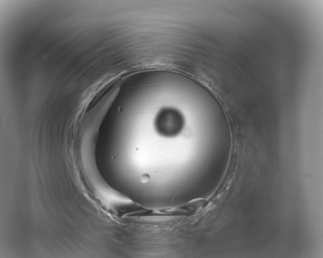 X0000064720193200602131233