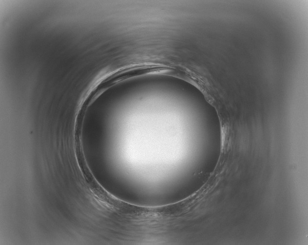 X0000064720195200602131233