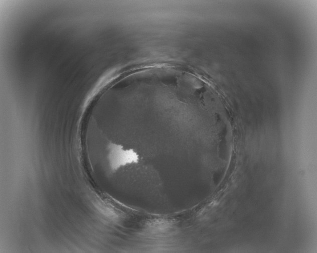 X0000064720198200602131233