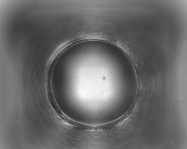 X0000064720199200602131233