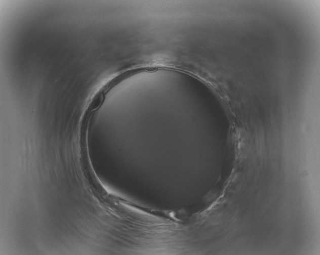 X0000064720200200602131233