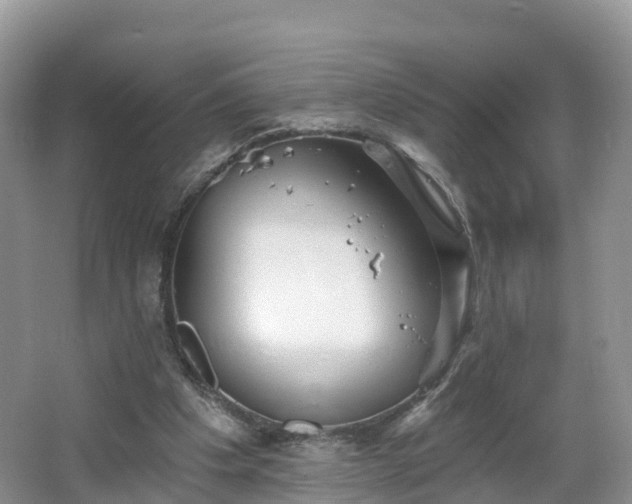 X0000064720201200602131233