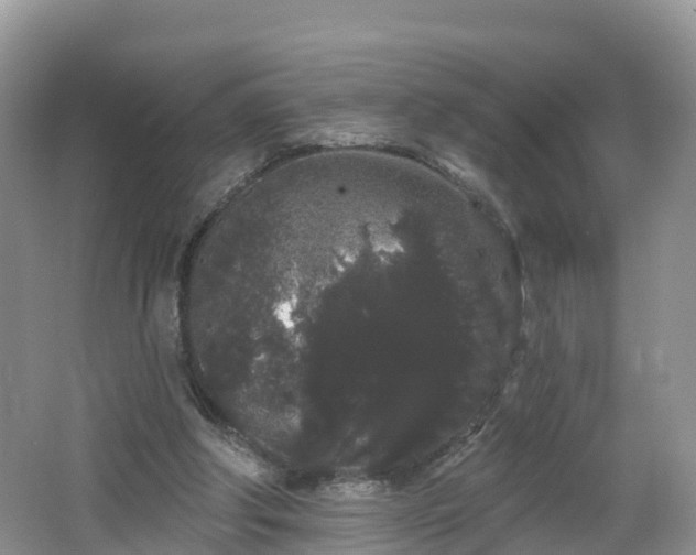 X0000064720202200602131233