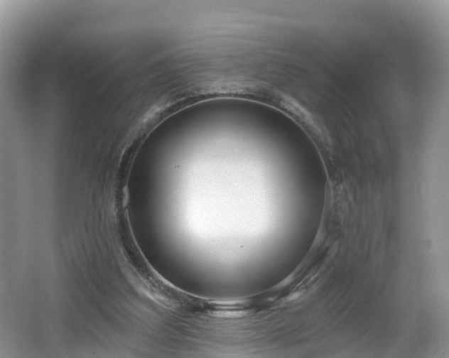 X0000064720203200602131233