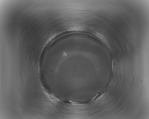 X0000064720204200602131233