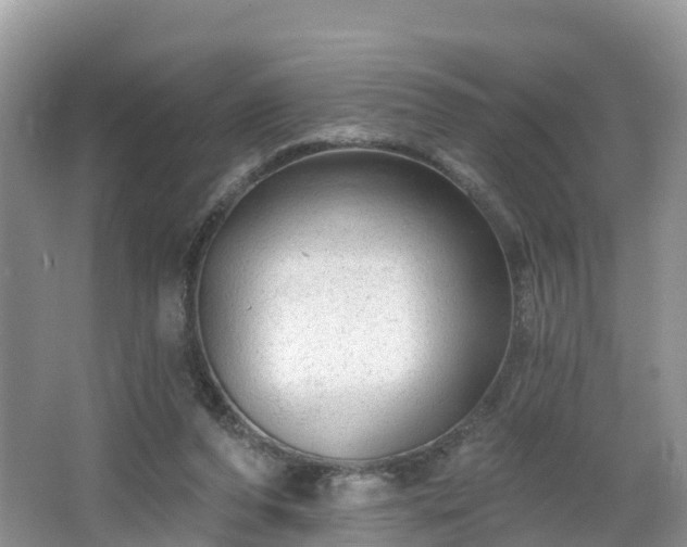 X0000064720208200602131233