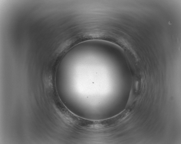 X0000064720212200602131233