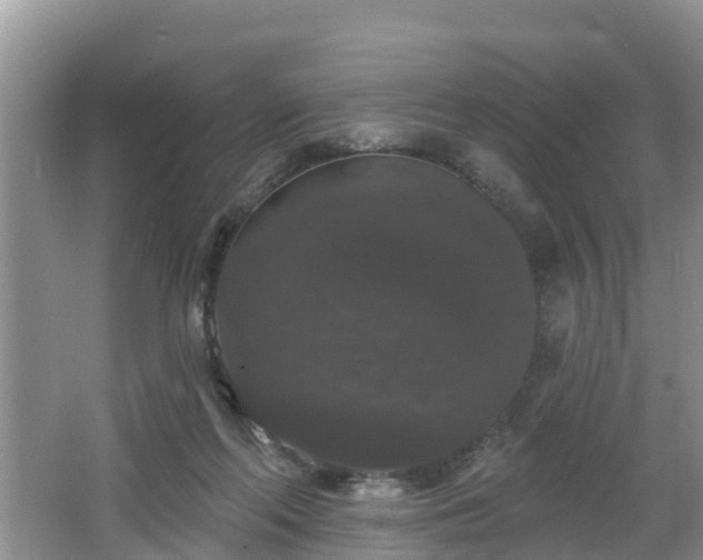 X0000064720214200602131233