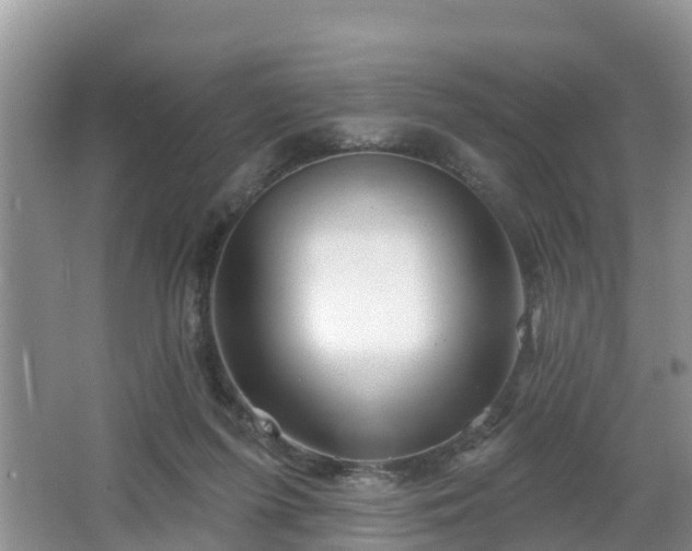 X0000064720215200602131233