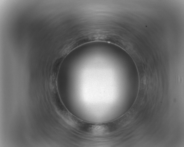 X0000064720218200602131233