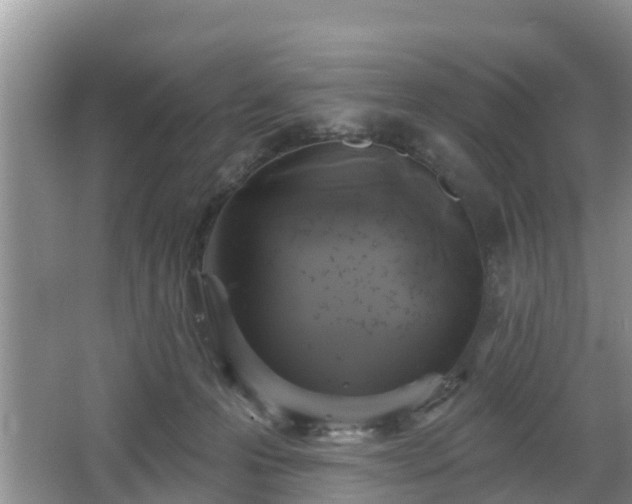 X0000064720223200602131232