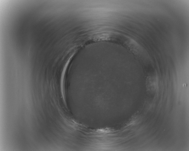 X0000064720224200602131232