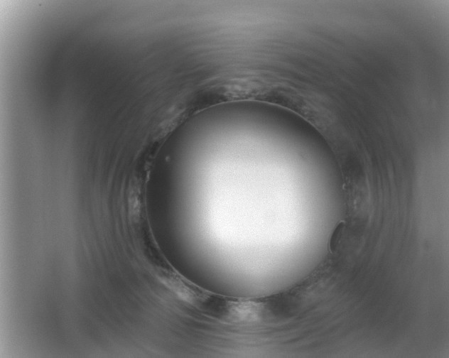 X0000064720226200602131232