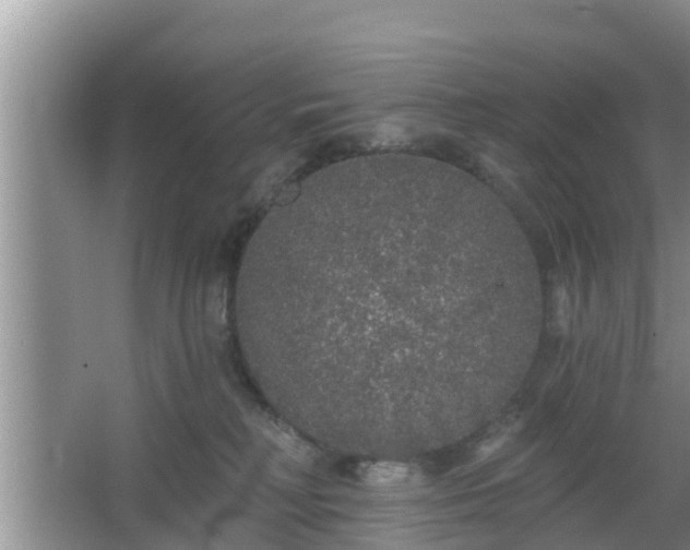 X0000064720230200602131232