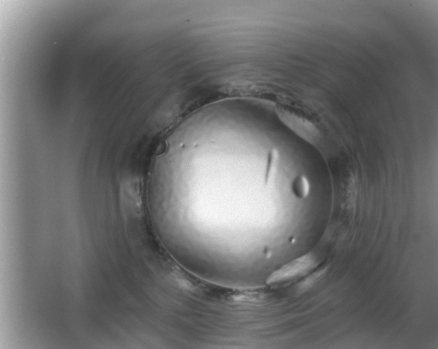 X0000064720232200602131232